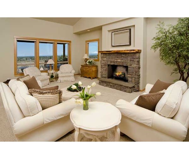 Dimplex Revillusion 20-inch Plug-In Log Set