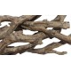 Driftwood Media 